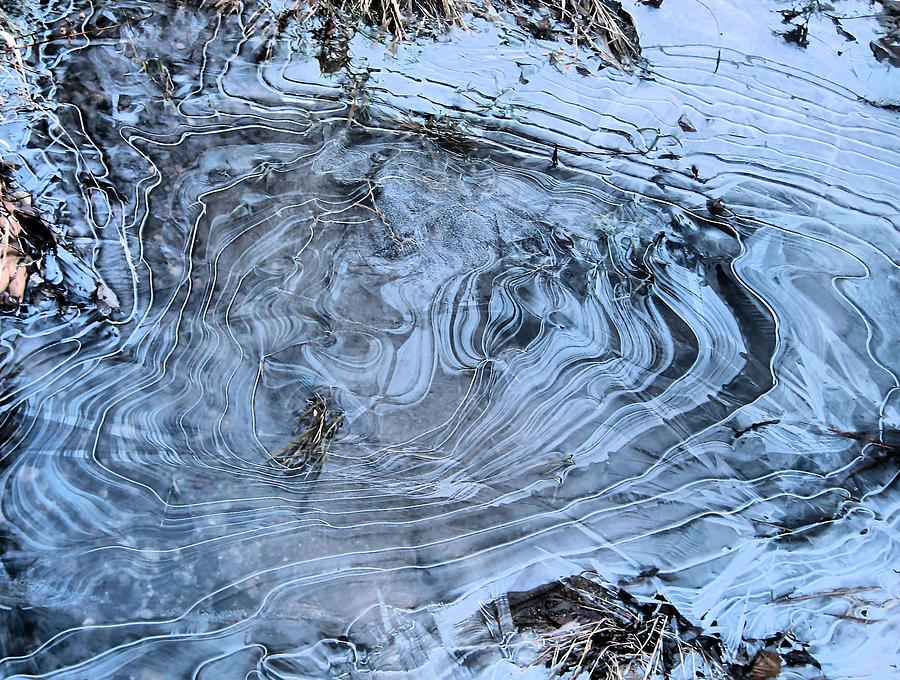 Thin Ice Photograph by Kristin Elmquist