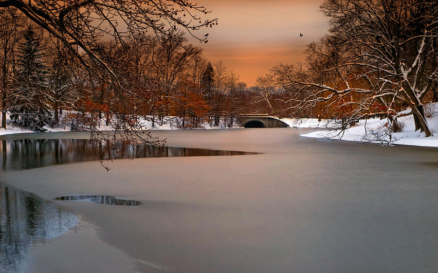 Thin Ice Photograph by Robin-Lee Vieira