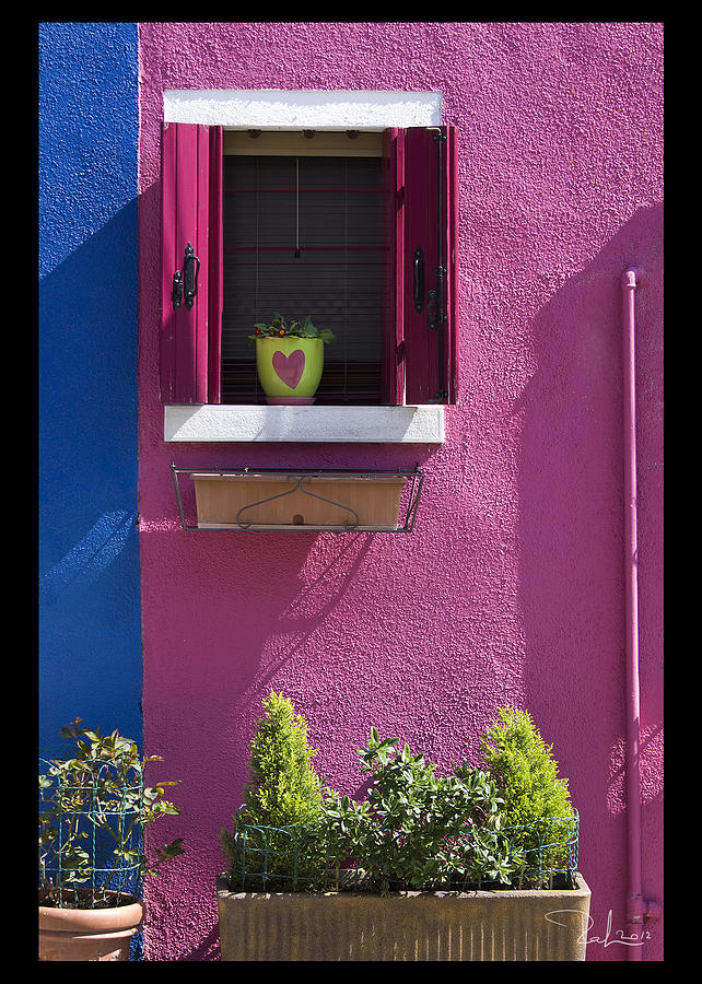 Think pink  card Photograph by Raffaella Lunelli