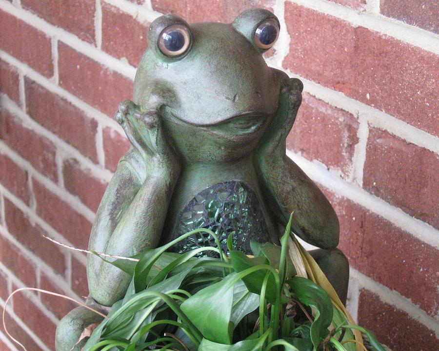 thinking frog statue