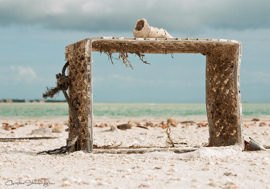 Beach Photograph - Thinking Outside the Box by CM Stonebridge