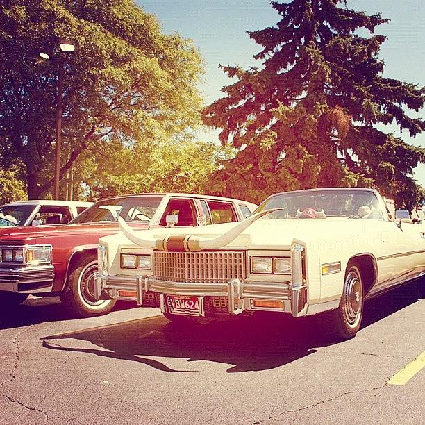 Cadillac Photograph - This #cadillac Doesnt Need An by Junior  Scholars