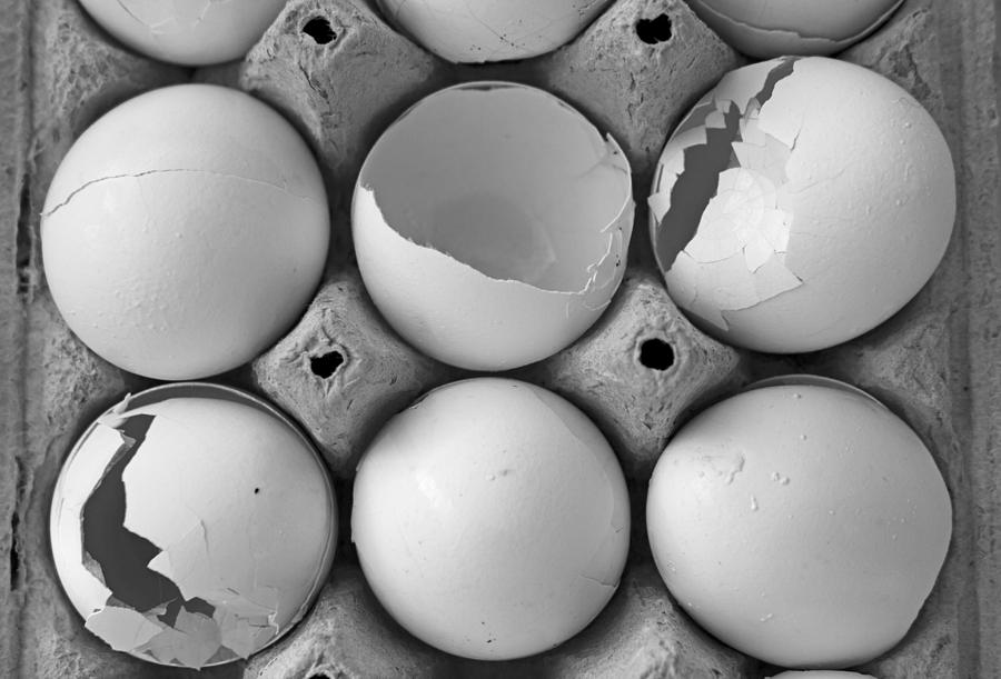 Egg Photograph - This Case is Cracked by Betsy Knapp