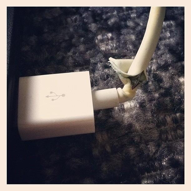 Apple Photograph - This Is One Year Old Usb Cord By Apple by Dmitriy Fetisov