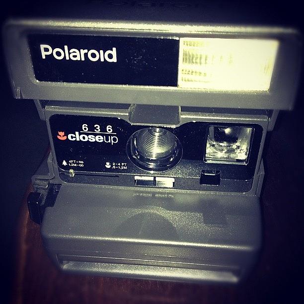 Polaroid Photograph - This Is Why I Love Charity Shops! by Rachel Purchase