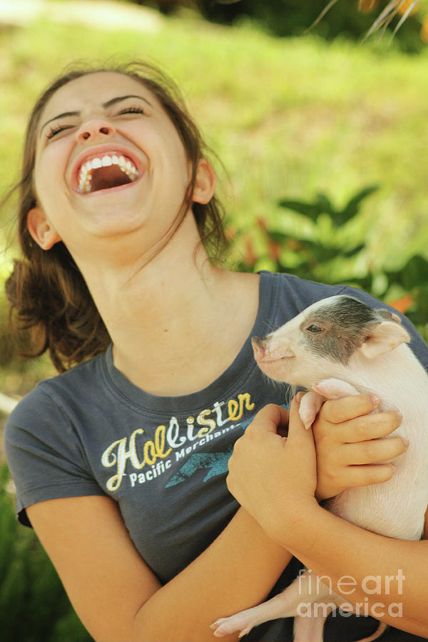 This Little Piggy Photograph by Lori Mellen-Pagliaro