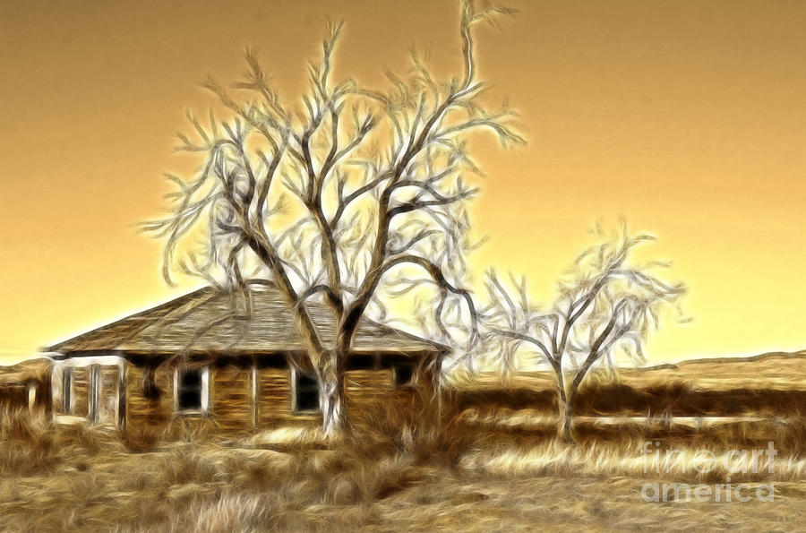 This Old House Fractal Photograph by Donna Greene