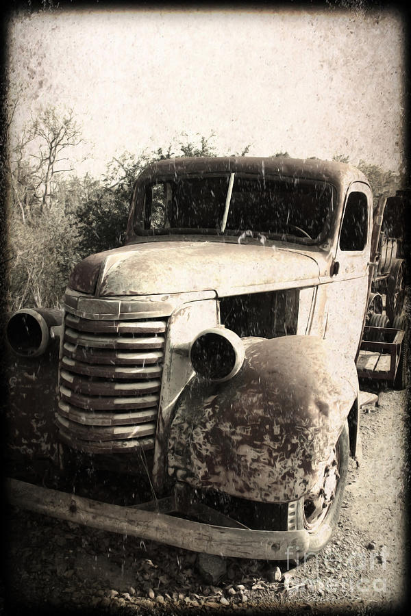 This Old Truck Photograph by Danuta Bennett