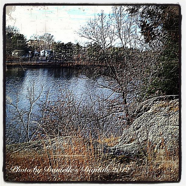Fall Photograph - This Photo Is For Sale In My by Danielle Mcneil