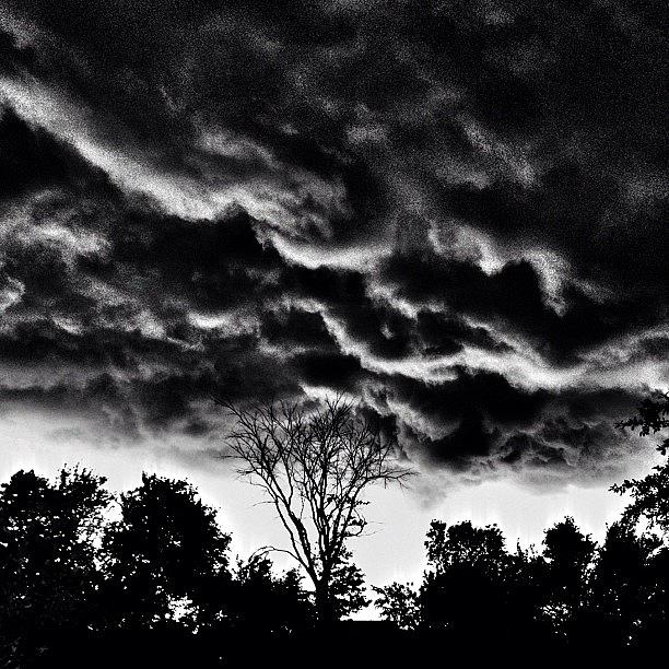 Tree Photograph - This #storm Front Was #badass Tonight by Travis Wright