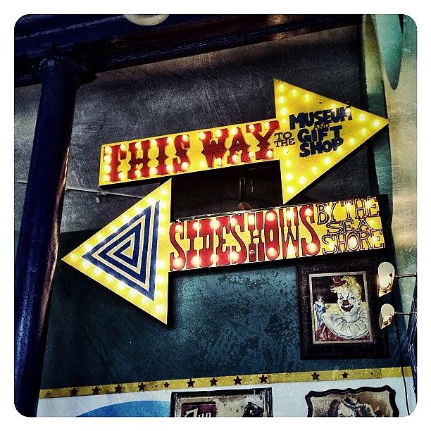 Gmy Photograph - This Way To The Freaks by Natasha Marco