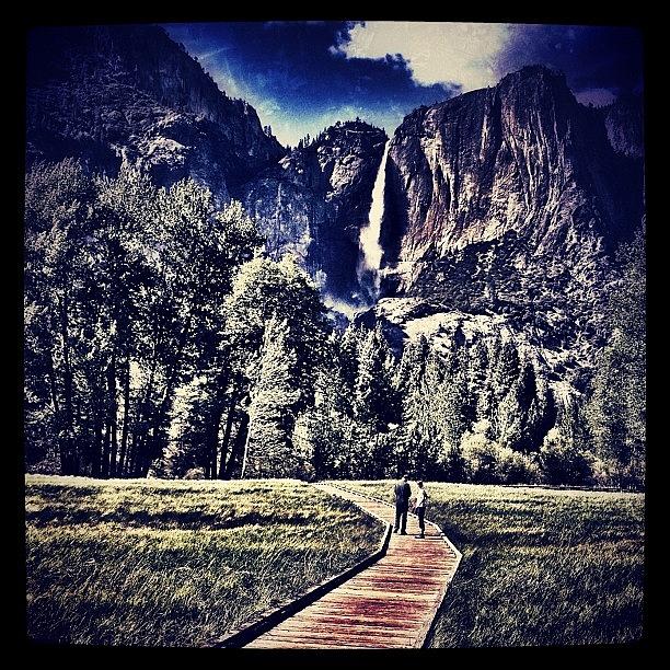 Yosemite National Park Photograph - This Would Have Been A Better Picture by Travis Wright