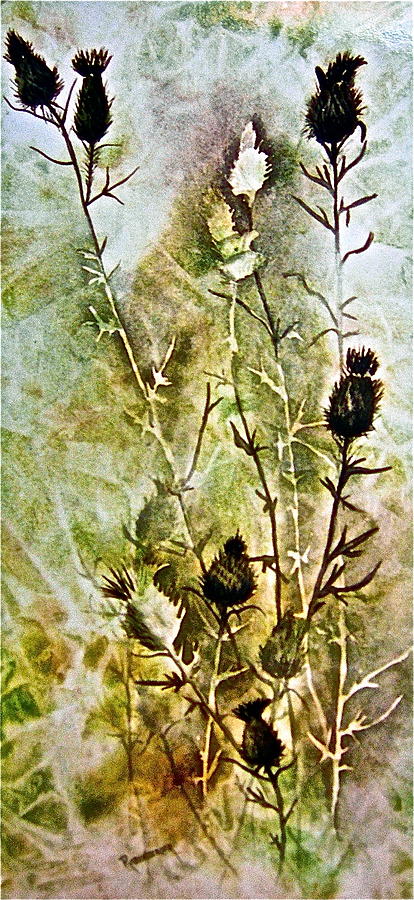 Nature Painting - Thistles by Carolyn Rosenberger