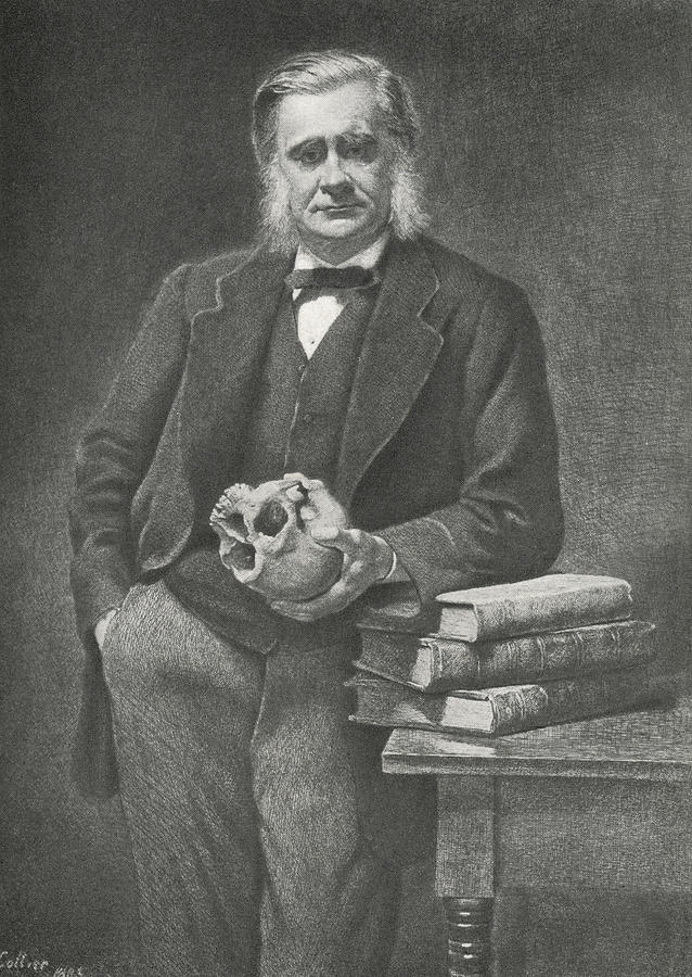 Thomas Huxley, British Biologist by Science Photo Library