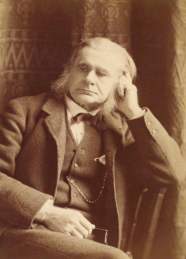 Thomas Huxley, English Biologist Photograph by Humanities And Social