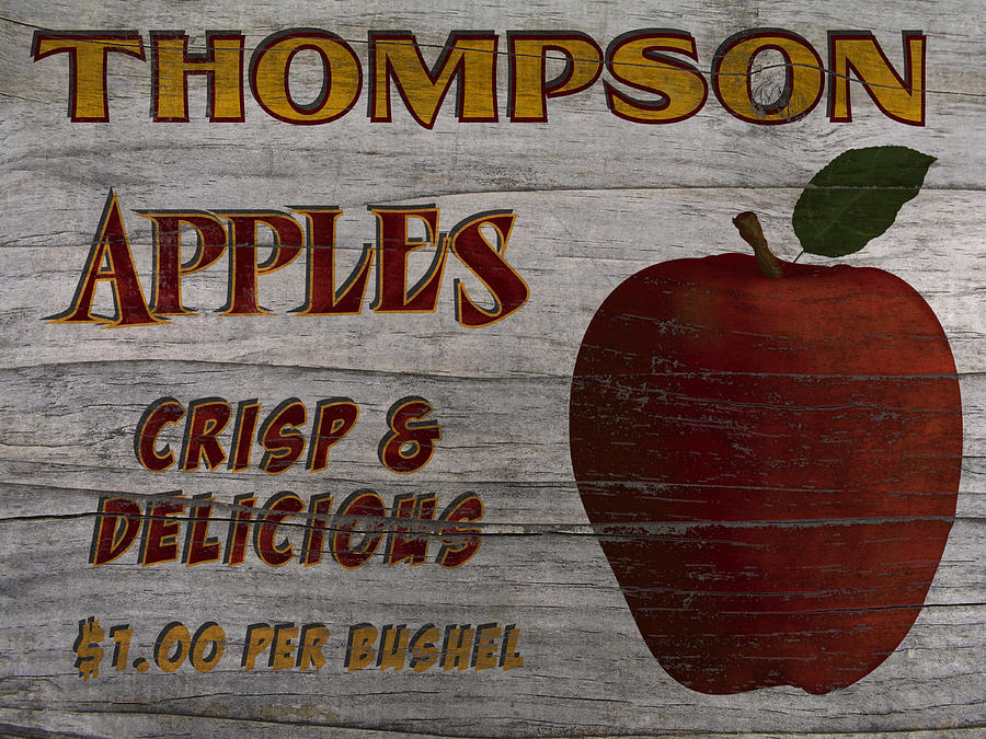 Apple Drawing - Thompson Apples by John OBrien