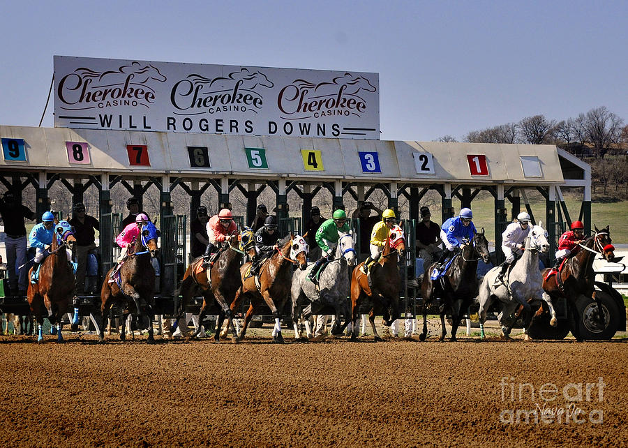 Thoroughbred Racing Photograph by Nava Thompson