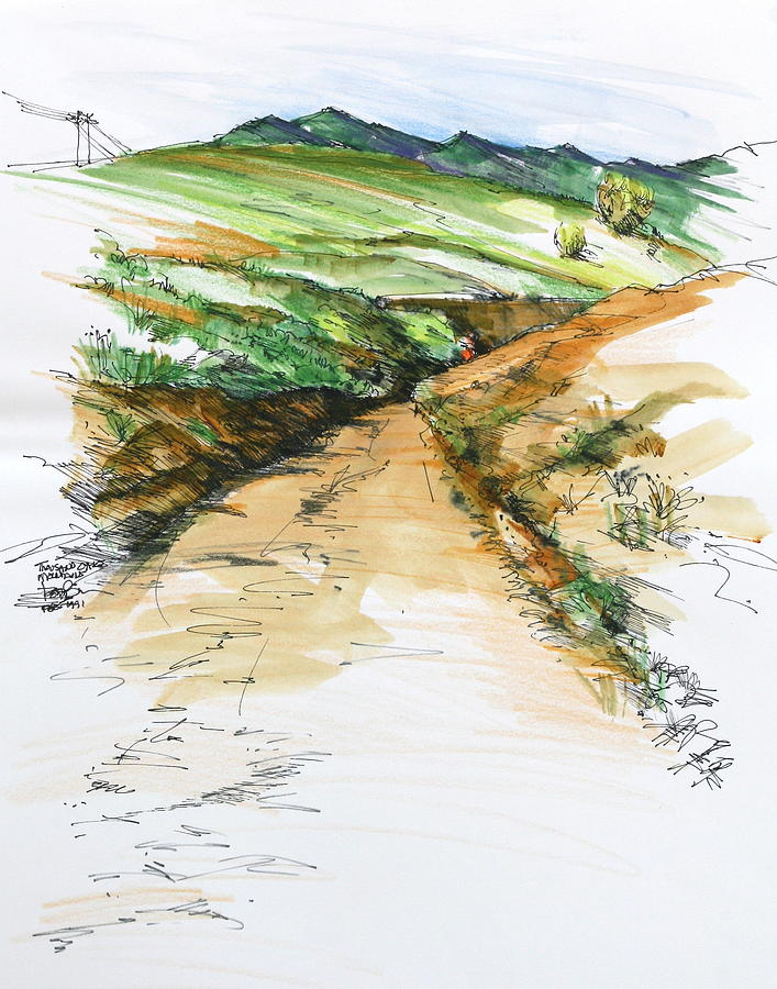 Thousand Oaks CA - Mtn. Dirt Trail Painting by Robert Birkenes