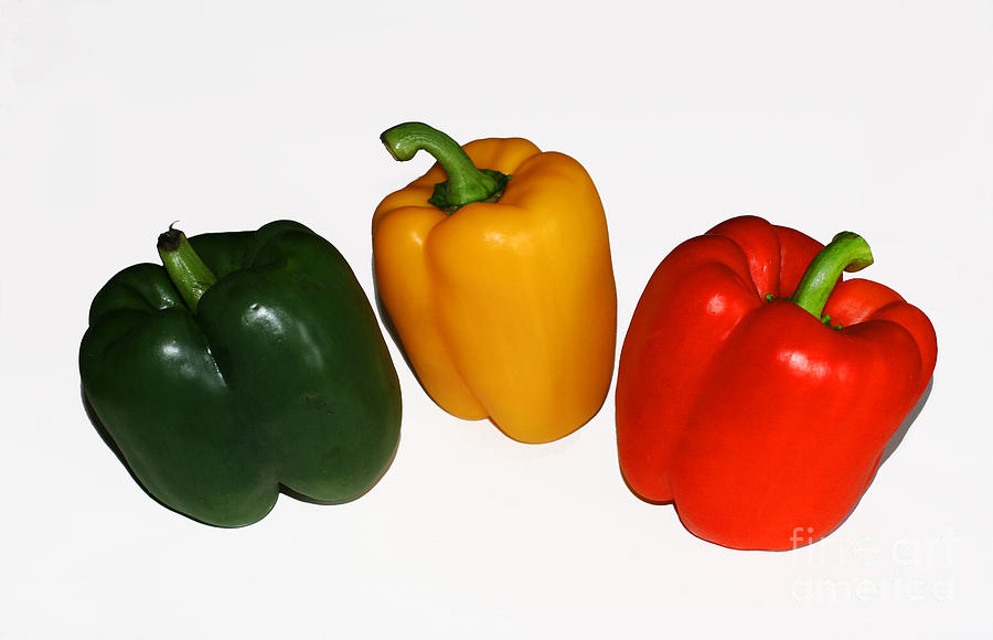 Three Bell Peppers Photograph by Barbara McMahon - Fine Art America