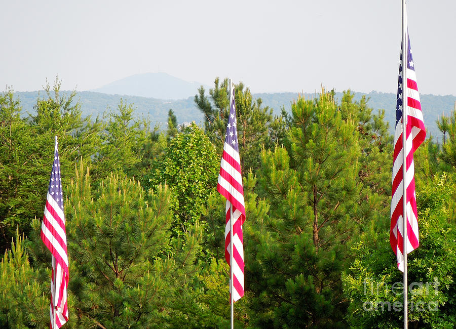 Three Flags and Kennesaw Mountain Photograph by Renee Trenholm
