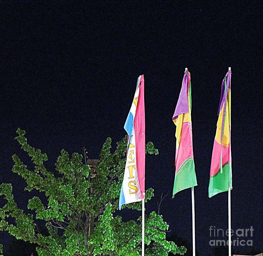 Flag Photograph - Three Flags by Renee Trenholm