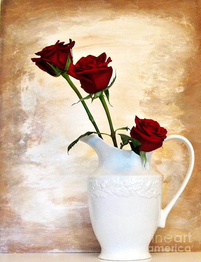 Three Gorgeous Roses Photograph by Marsha Heiken