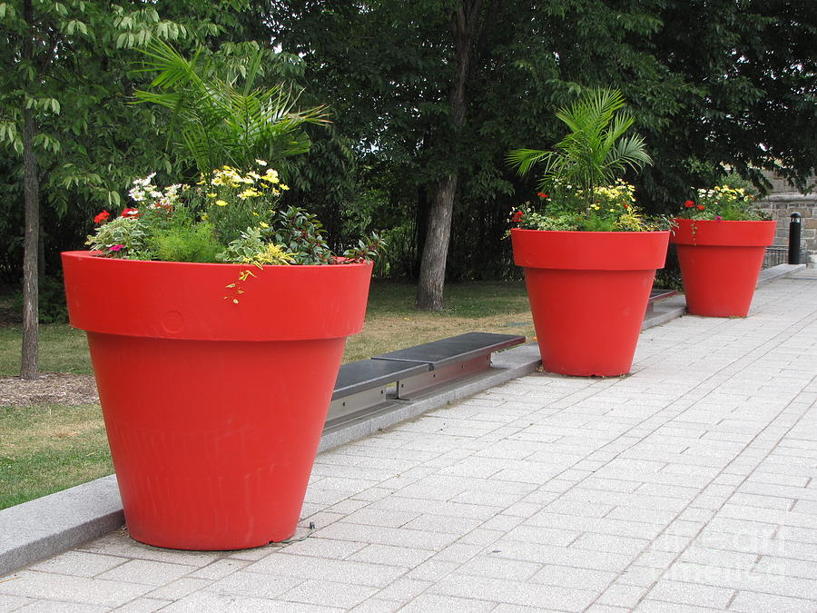 Three little pots Photograph by Ilya Bederman - Fine Art America