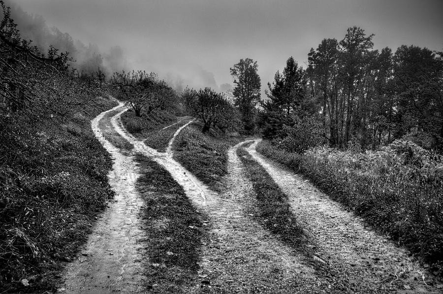 Three Paths Meet Photograph by T Cairns