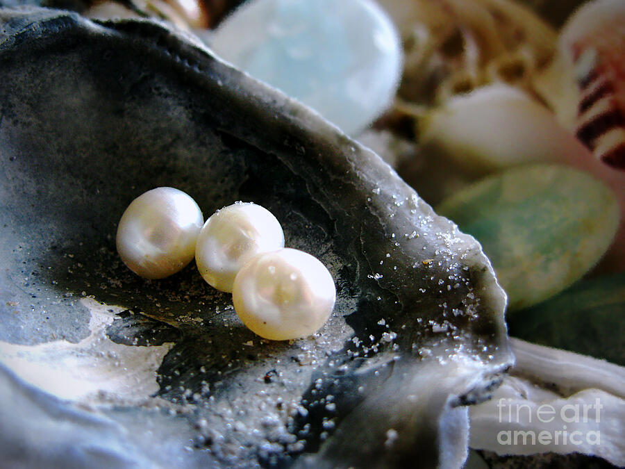 Three Pearls Photograph by Colleen Kammerer
