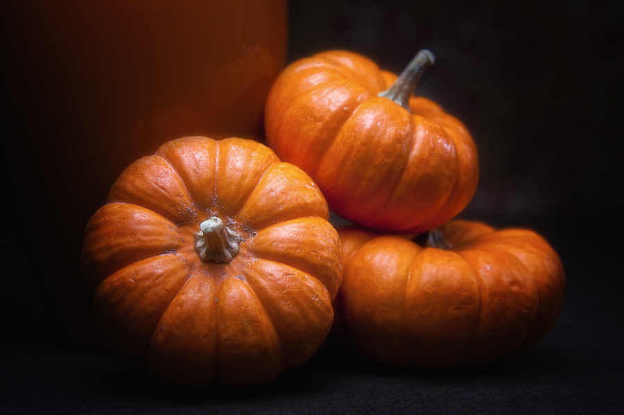 Fall Photograph - Three Pumpkins by Tom Mc Nemar