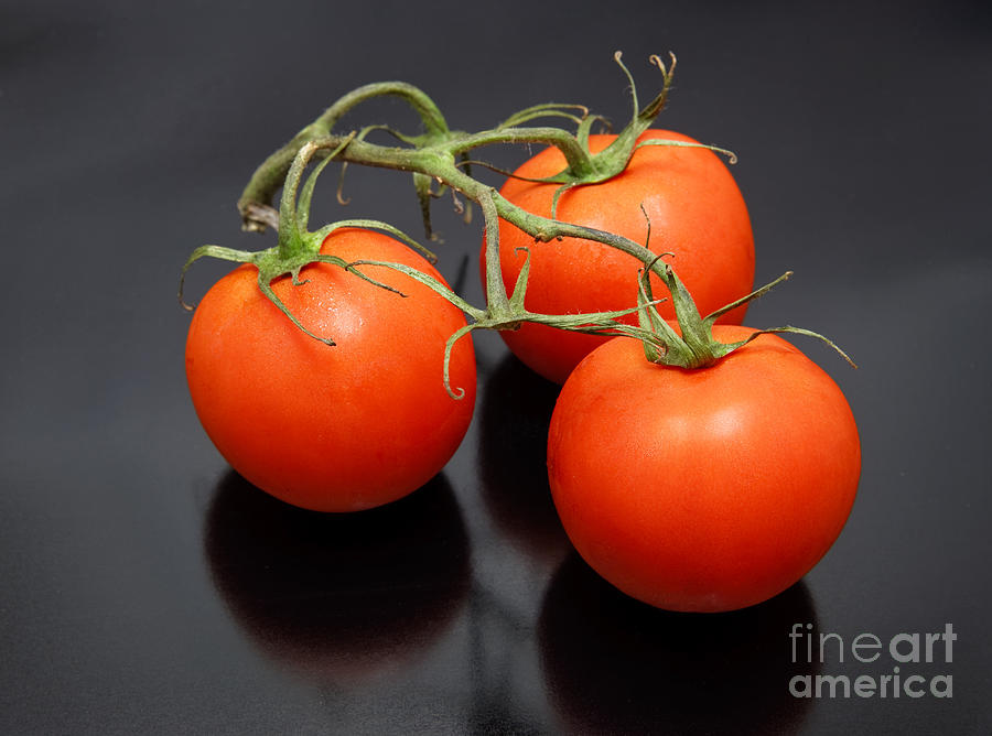 Tomato Photograph - Three Red Tomatoes on the Vine by Ricky Schneider