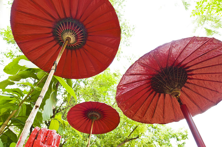 Three red umbrella in a outdoor setting Photograph by U Schade
