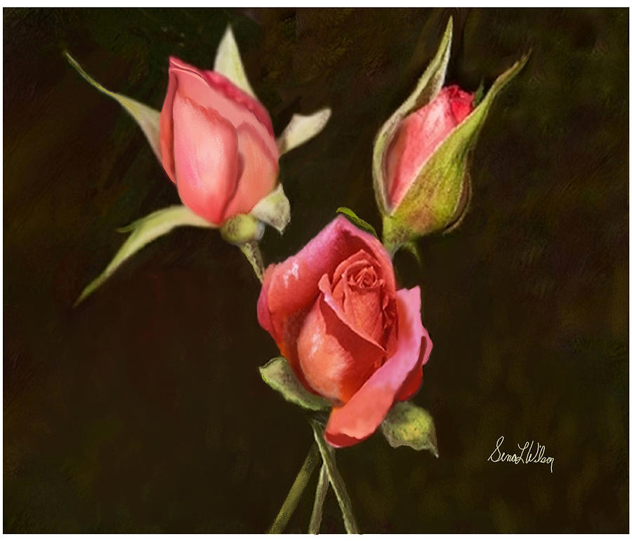 Three Roses Painting by Sena Wilson