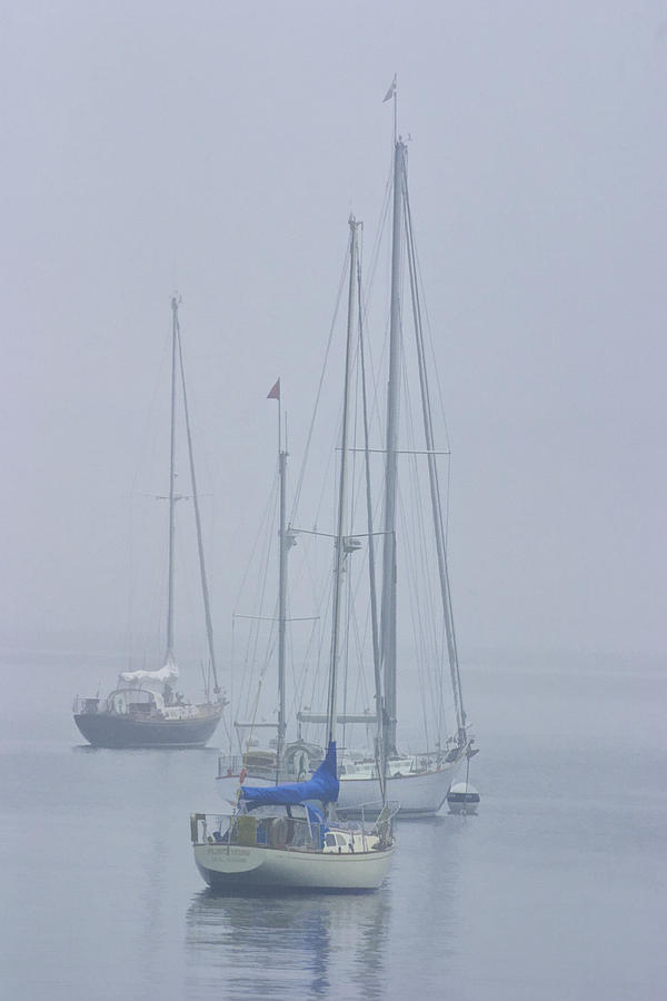 Boat Photograph - Three sailboats harbored in the mist by Randall Nyhof