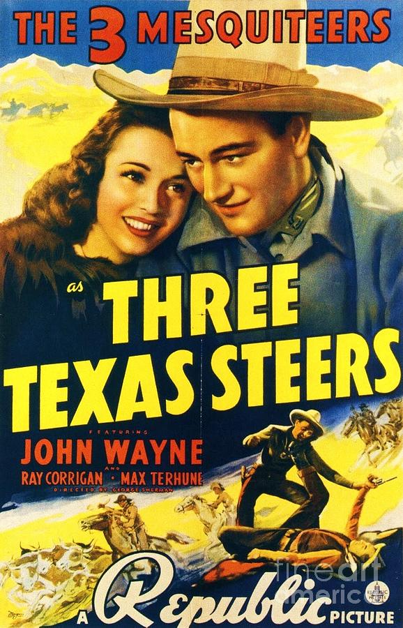 John Wayne Painting - Three Texas Steers by Thea Recuerdo