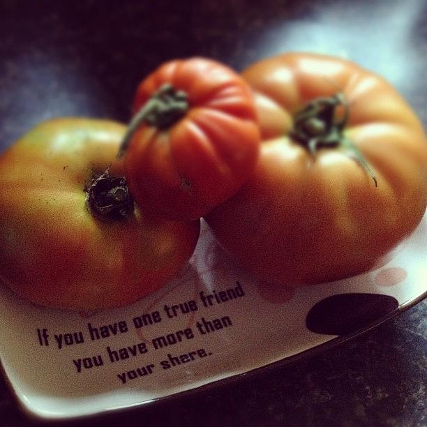 Three Tomatoes Photograph by Amanda Minaker