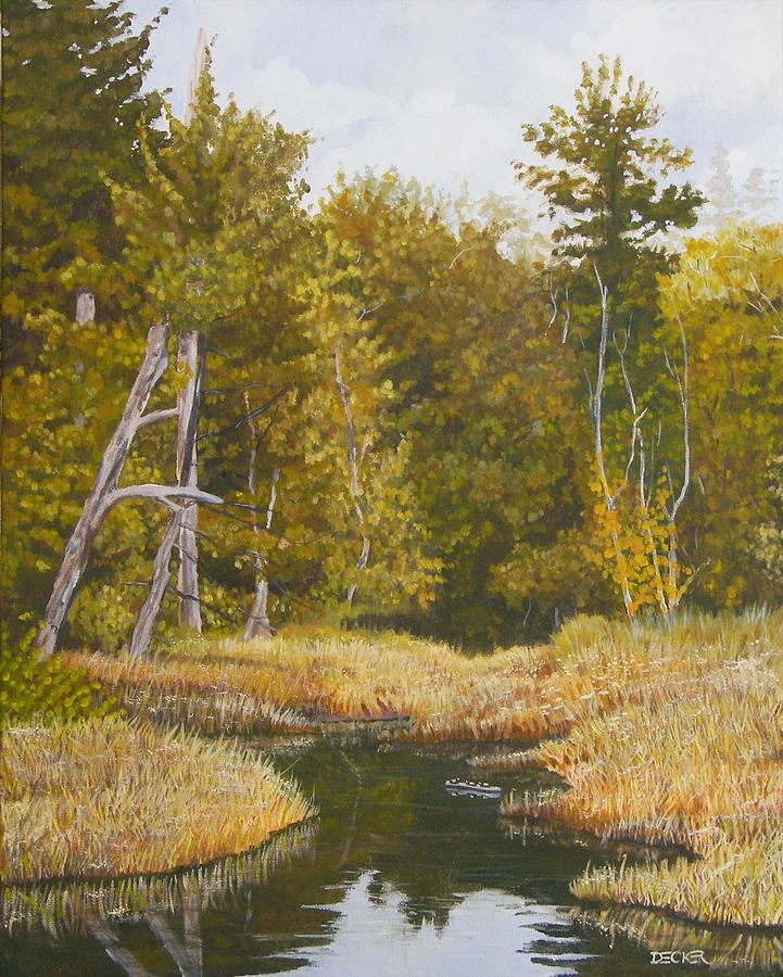 Three Turtles Lake Conestee by Robert Decker Three Turtles Lake Conestee by Robert Decker