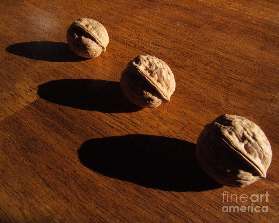 Three Walnuts Photograph Photograph by Kristen Fox