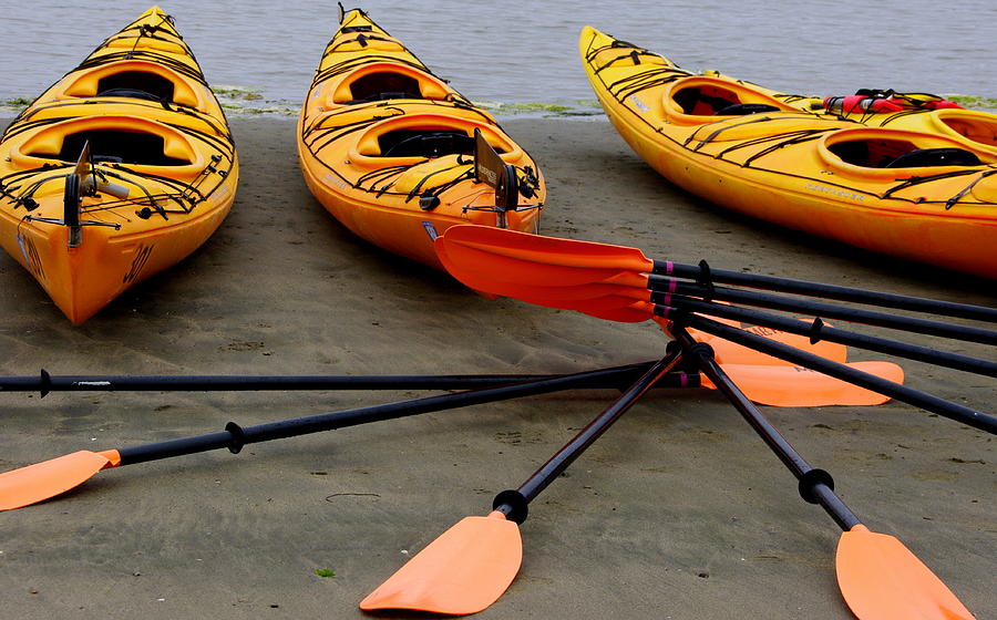 Three Yellow Tandem Kayaks Photograph by Jeff Lowe