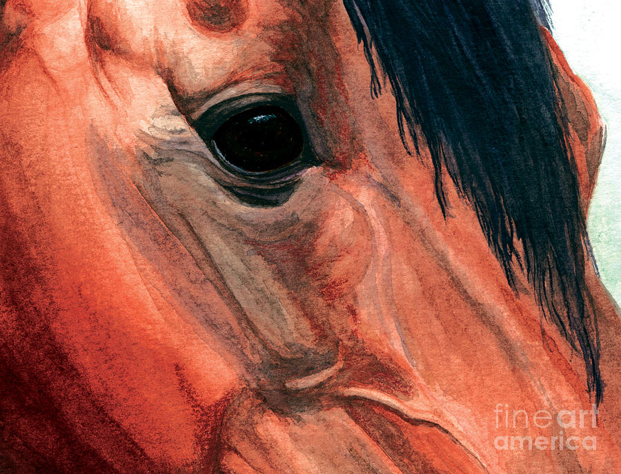 Horse Painting - Through My Eyes by Tonia Antilla