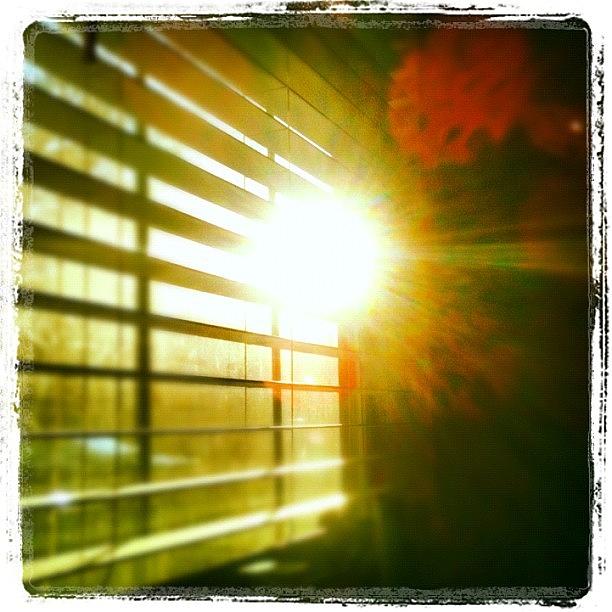 Instagram Photograph - Through My #window :) #lateafternoon by Seth Stringer
