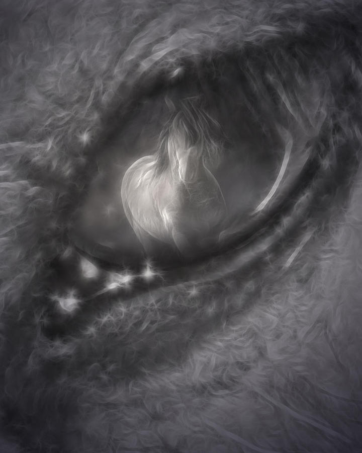 Wild Photograph - Through The Eye by Gene Praag Wild Photograph - Through The Eye by Gene Praag