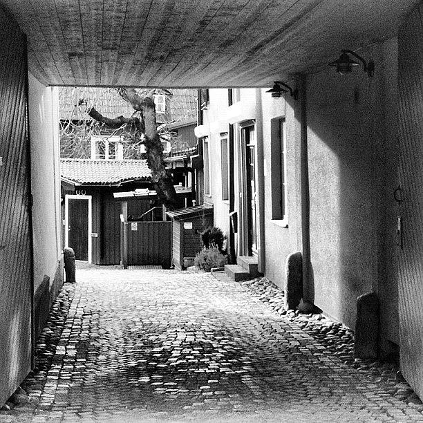 Jj Photograph - Through The Gate. Into The Alley by Rolf Lindstrom