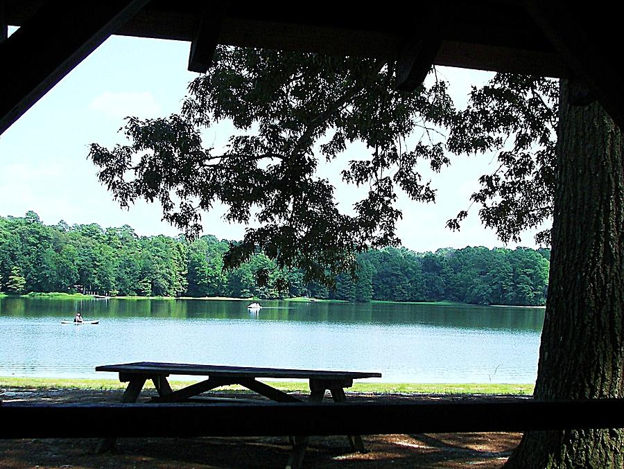 Through The Pavilion at Trap Pond State Park Delaware  Photograph by Pamela Hyde Wilson