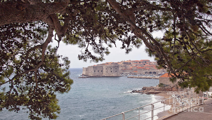 Through the Trees in Dubrovnik 2 Photograph by Madeline Ellis