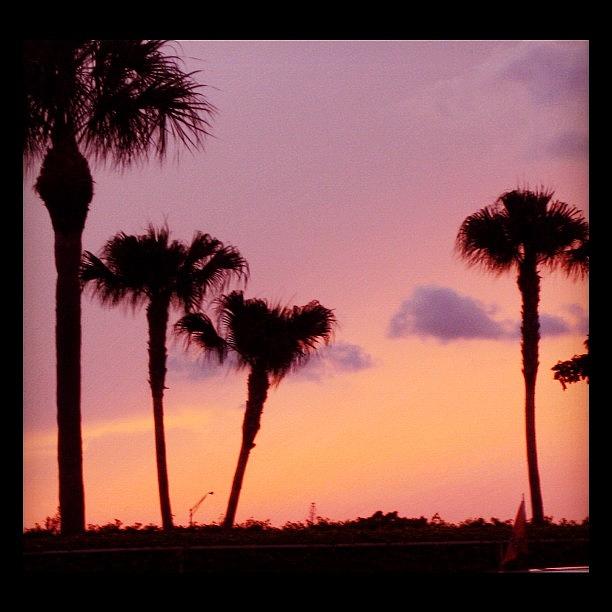 Miami Photograph - #throwback #sunset From Dolphin Stadium by Kiki Bird
