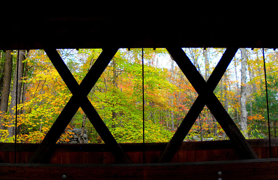Thru the XX is Fall in New England Photograph by Kim Galluzzo