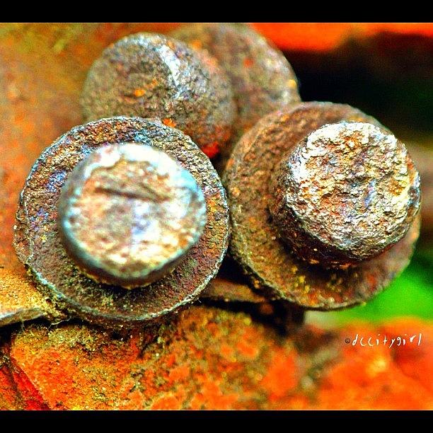 Rusted Photograph - Thunder Bolt And Lightning - Very Very by Dccitygirl WDC