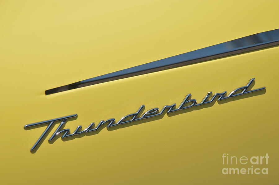 Thunderbird Emblem Photograph by Mark Dodd