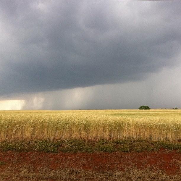 Thunderstorm & Wheat Photograph by Marc Crow